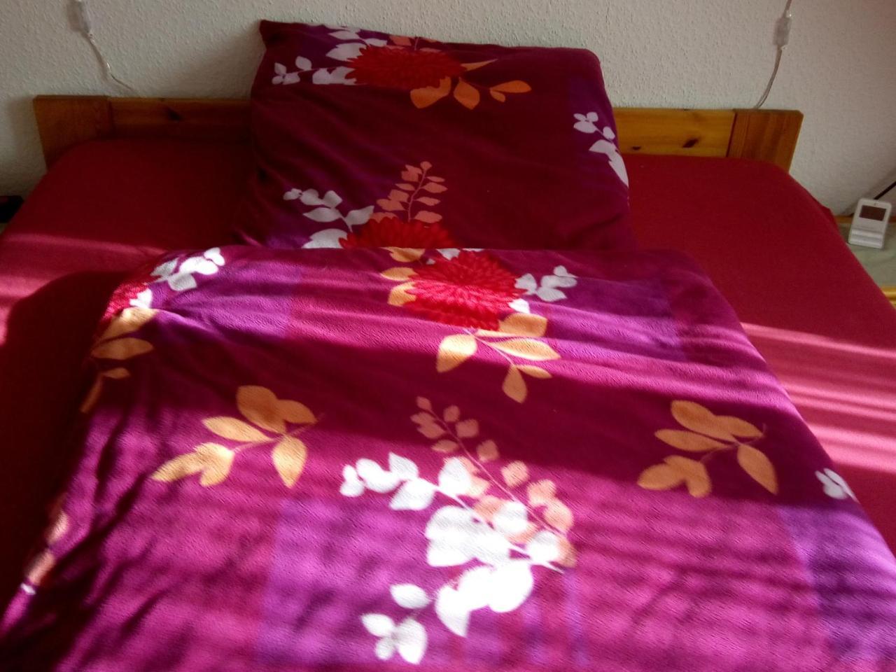 Monteurhotel Garni Alter Olper Hof Линдлар Екстериор снимка